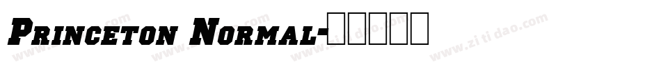 Princeton Normal字体转换